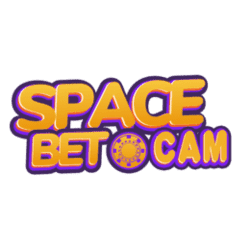 sacramento bee sudoku
